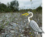 biodiversité du gave d'ossau