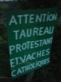 Attention aux vaches